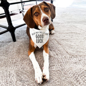 Dog Bandana - rub belly